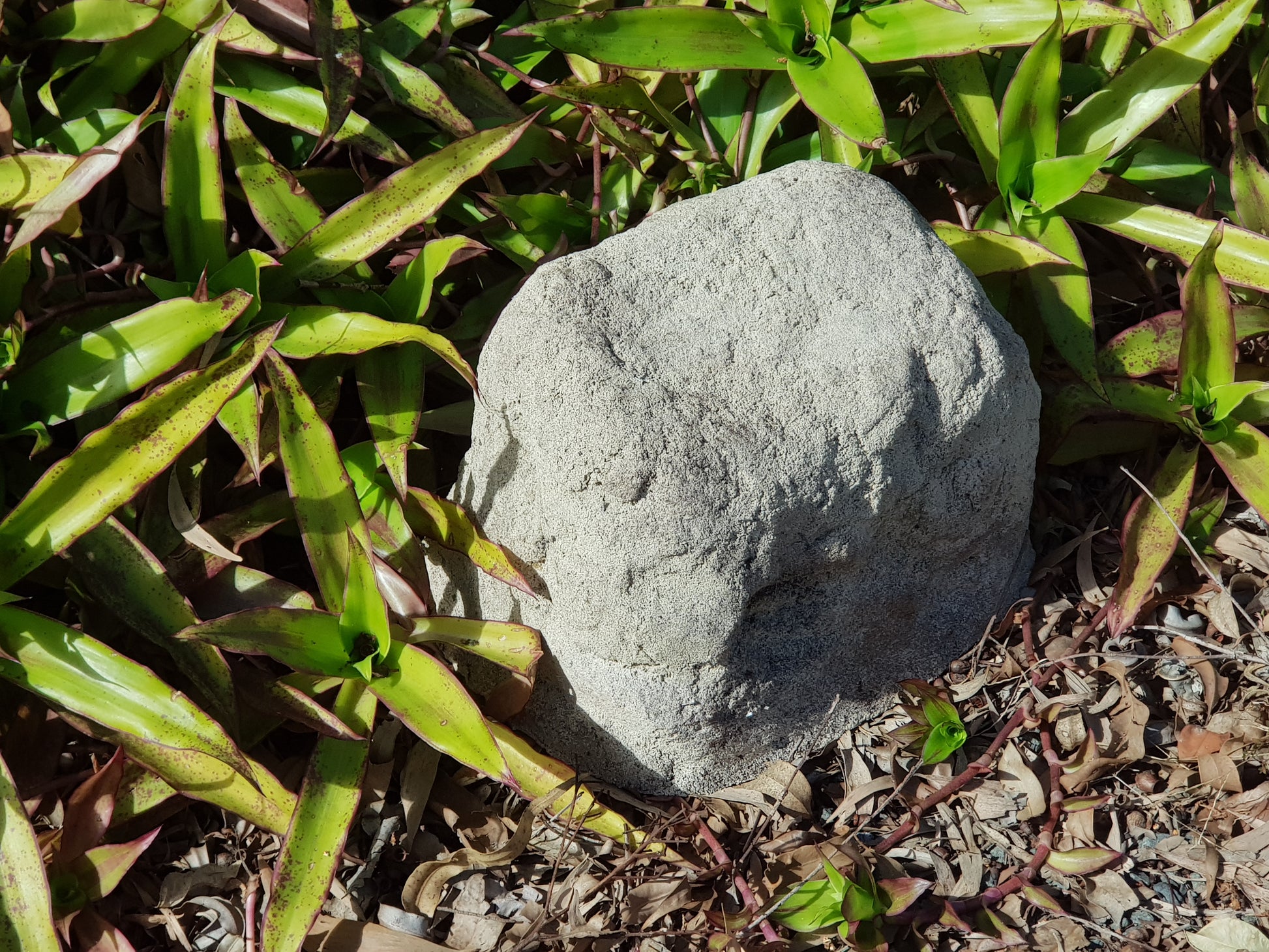 Rock Urn. US orders free shipping.