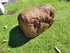 Memorial Rock Urn 1855 Regular Brown