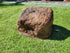 Memorial Rock Urn 1856 Regular Brown