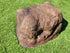 Memorial Rock Urn 1858  Medium Brown