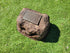 Memorial Rock Urn 1858  Medium Brown