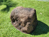 Memorial Rock Urn 1859  Medium Brown