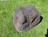 Memorial Rock Urn 1860  Medium Charcoal / Black
