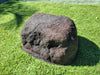 Memorial Rock Urn 1862 Medium Charchole / Black