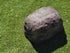 Memorial Rock Urn  2183 Regular Black