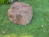 Memorial Rock Urn 2201 Large Double Brown