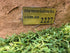 Memorial Rock Urn  2227 Regular Sandstone