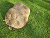 Memorial Rock Urn 1850 Regular Natural Riversand