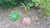 Discounted Memorial Rock Urn 1097 Medium Red