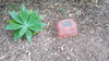 Discounted Memorial Rock Urn 1098 Medium Red