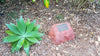 Memorial Rock Urn 1100 Large Single Red