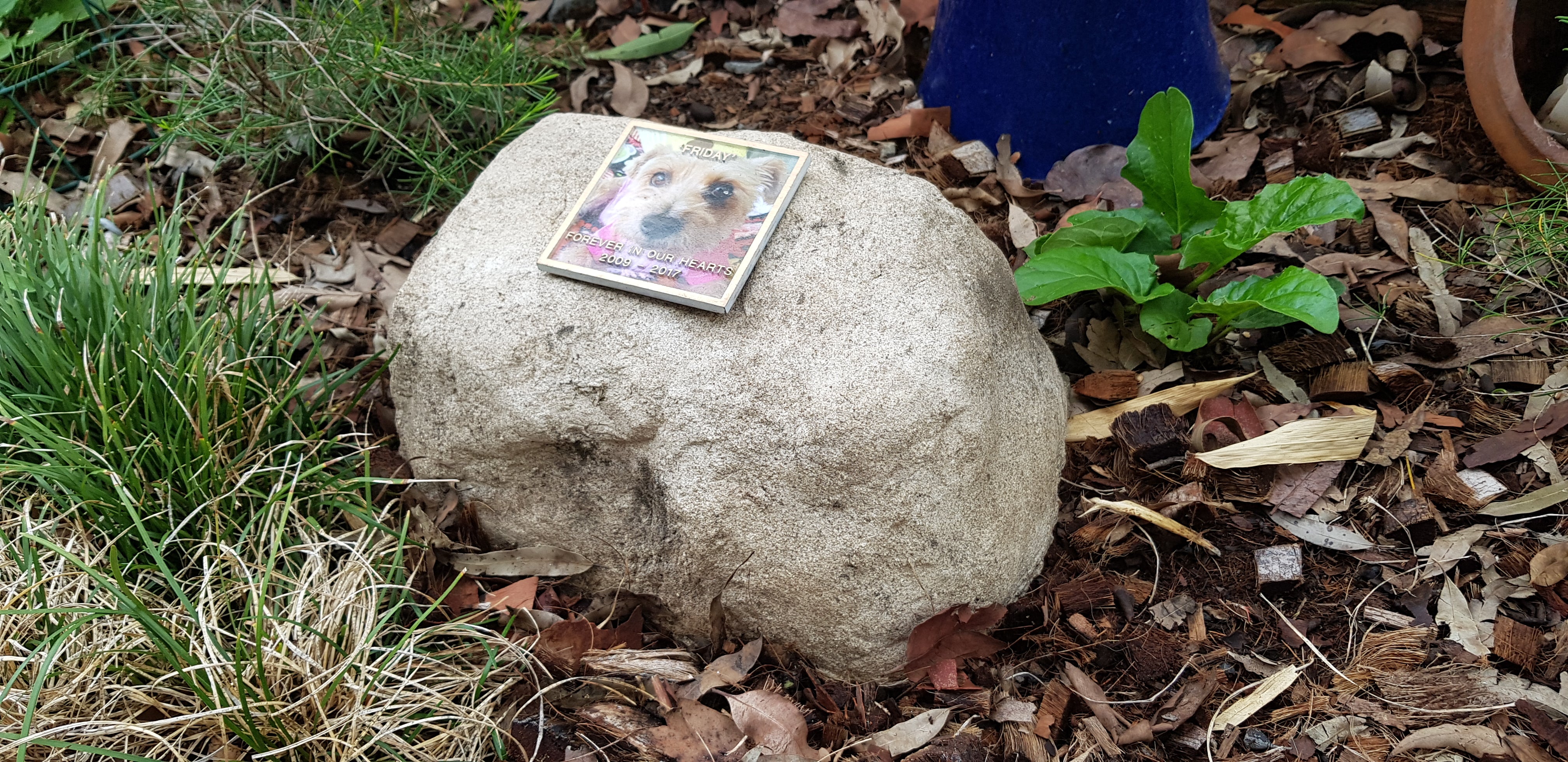 PET Memorial Rock Urn 1173
