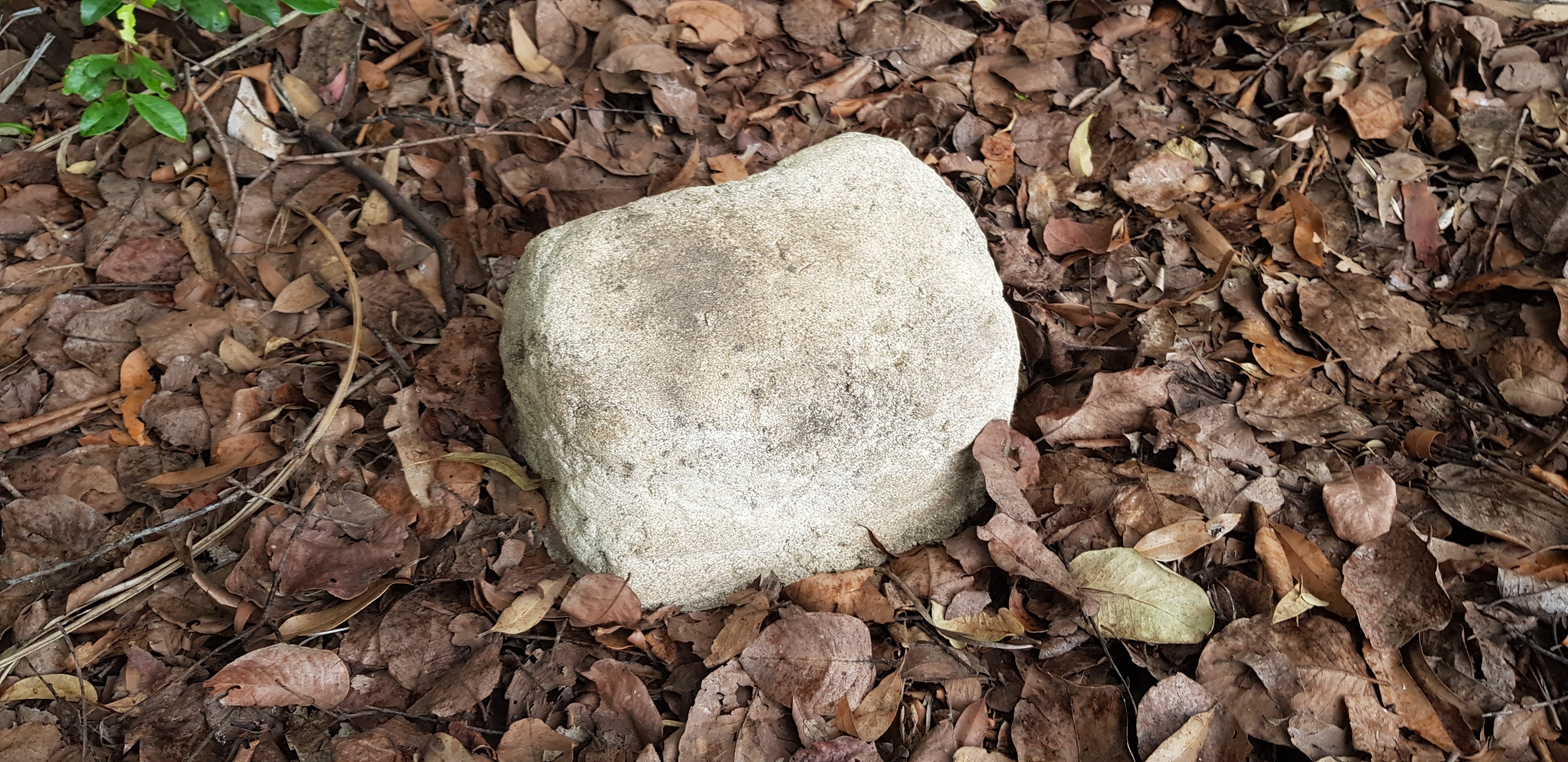 PET Memorial Rock Urn 1200