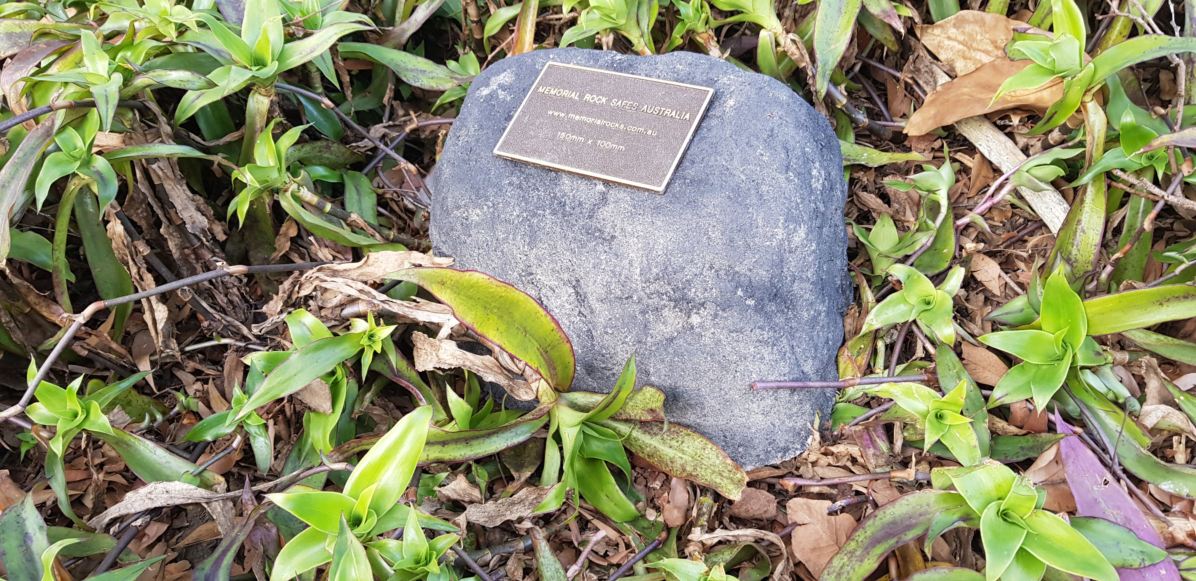 urn for cremated ashes