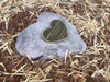 Paver - Memorial Heart Shaped Paver Stone 617 (Not an Urn) including 200mm x 150mm Bronze Plaque